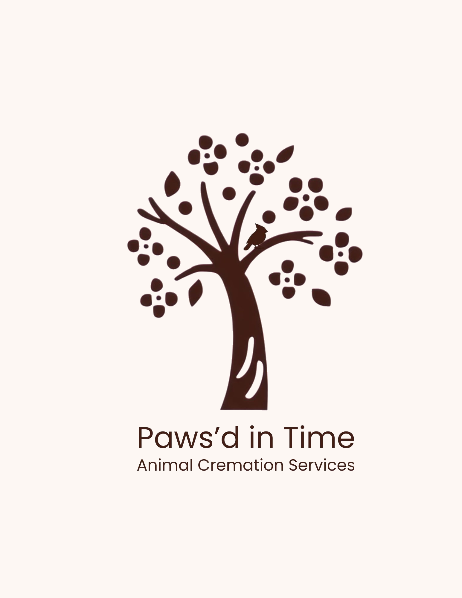 Paws’d in Time Logo