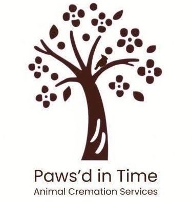Paws’d in Time logo with a cherry tree and cardinal, symbolizing remembrance, love, and gentle transitions for cherished pets