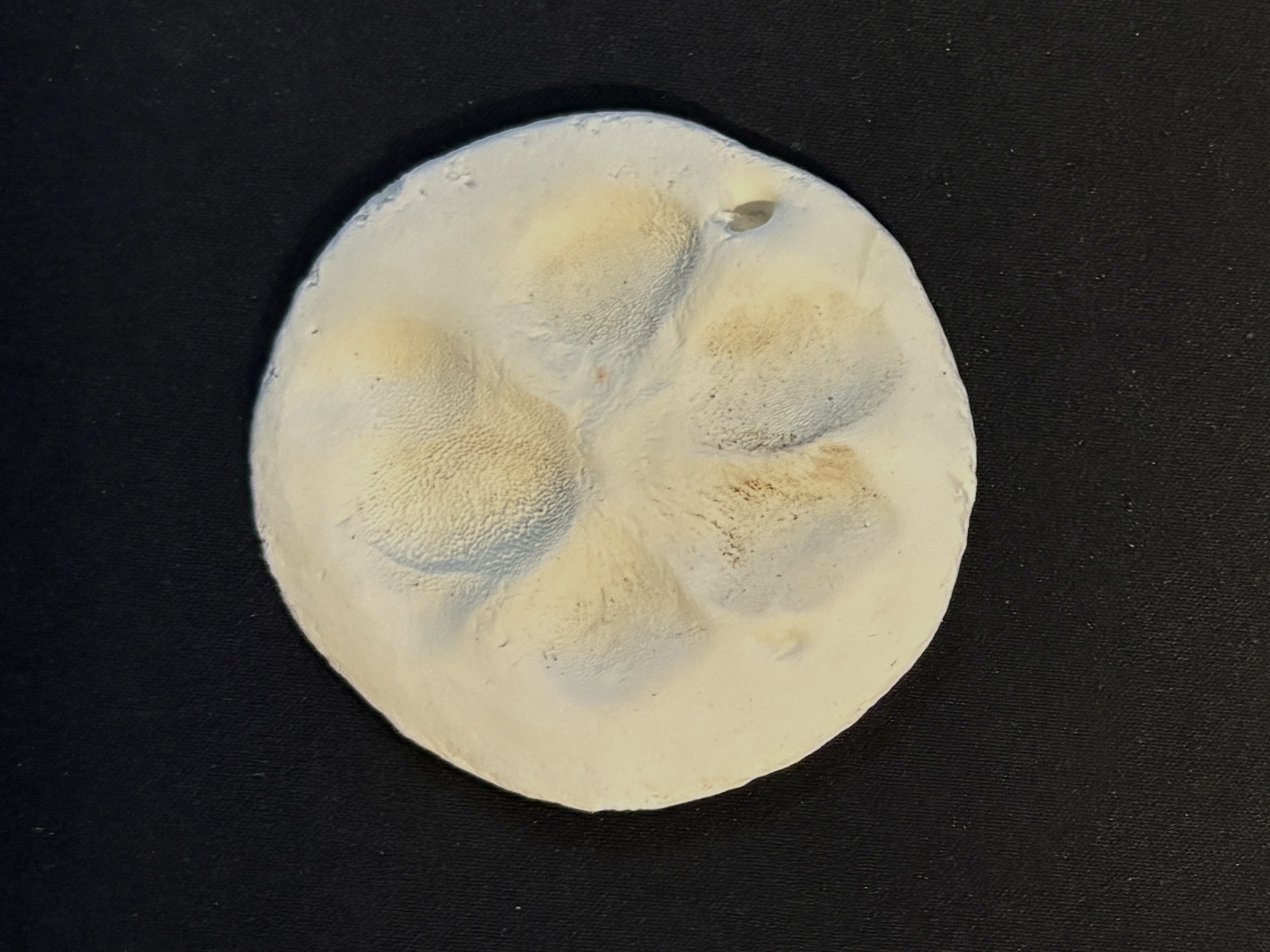 Cast paw print keepsake